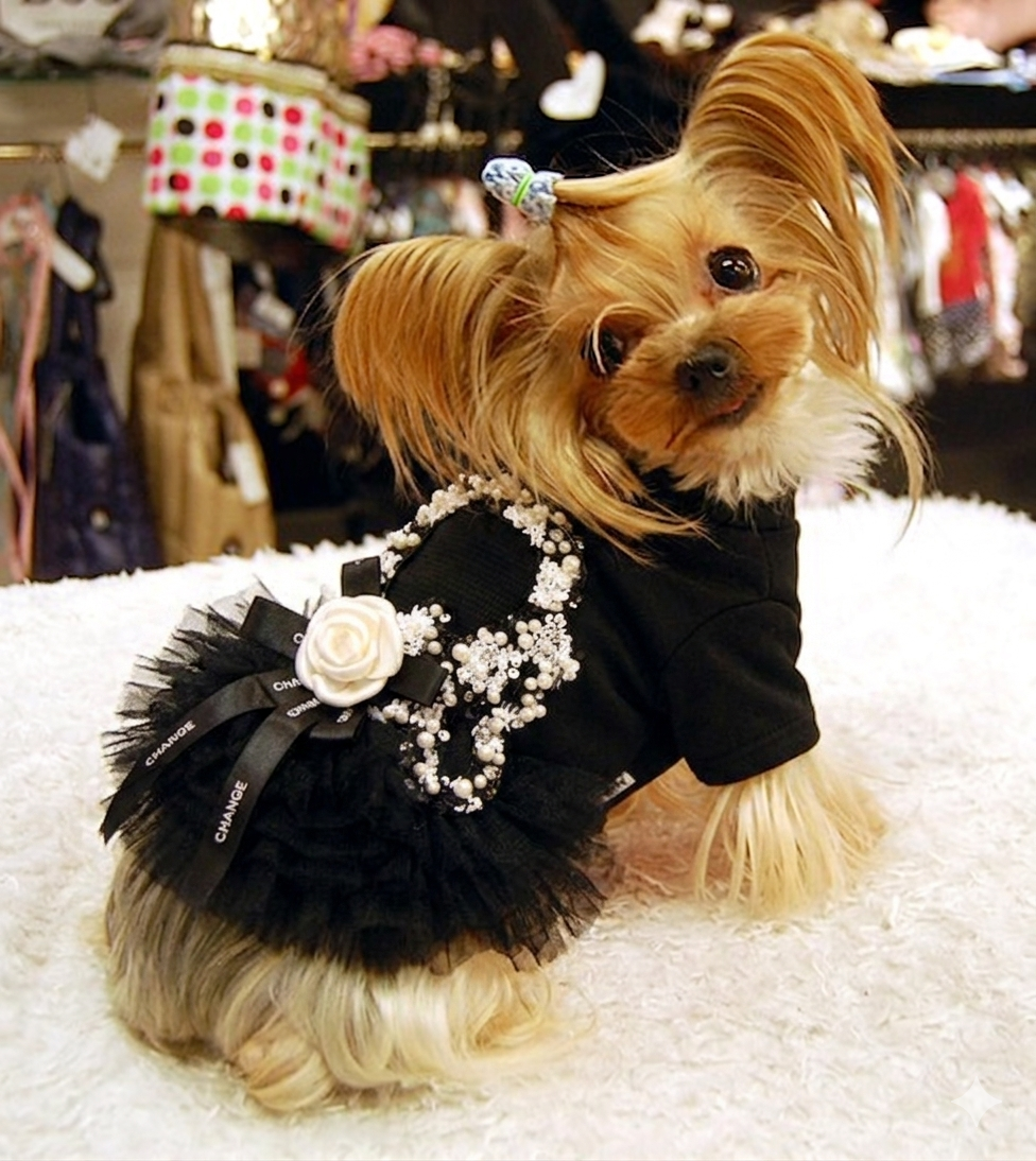 Luxury Black Pearl Dog Dress Elegant Tulle Pet Dress Tutu with Flower Accent