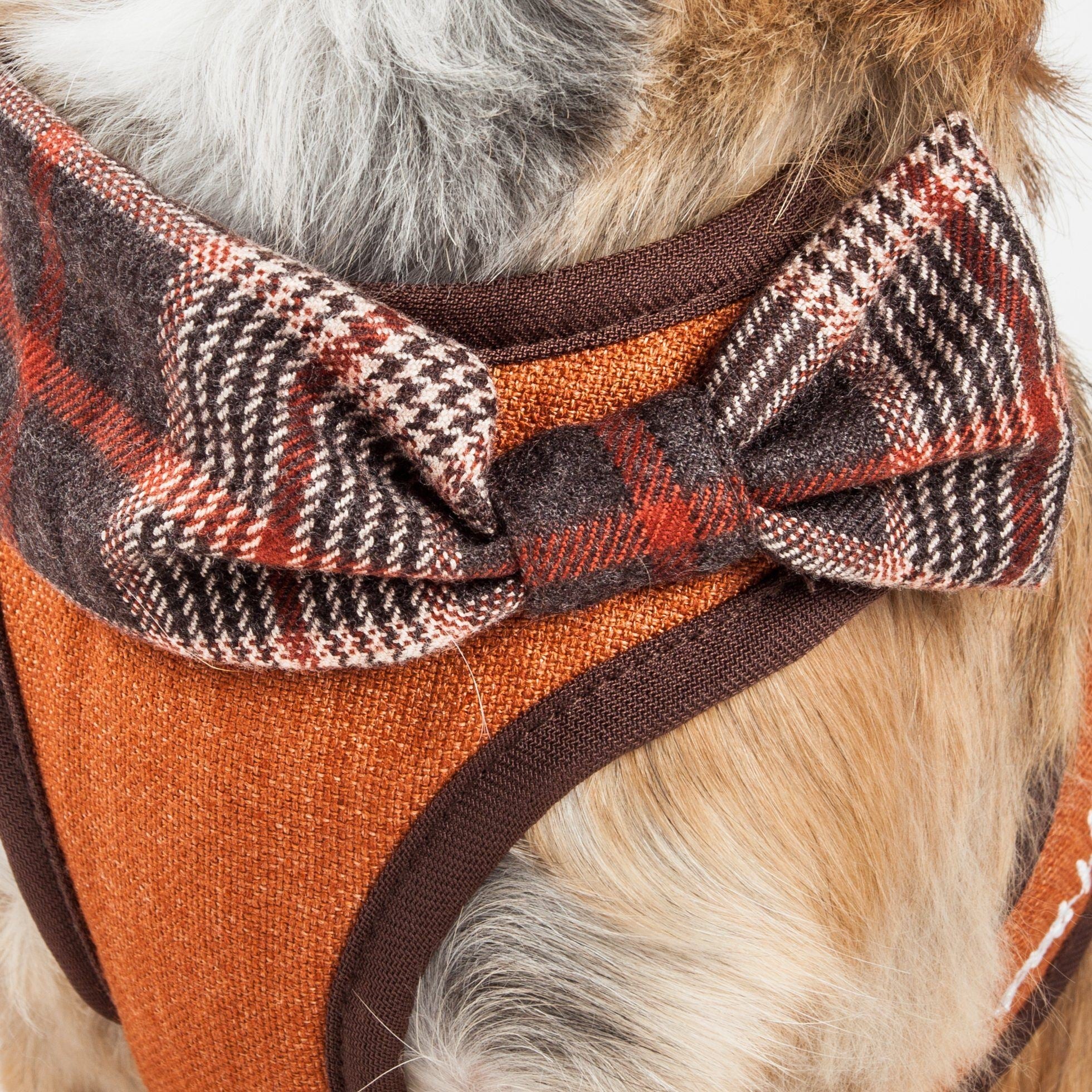 Pet Life ® Luxe 'Pawsh' 2-In-1 Adjustable Fashion Dog Harness and Leash
